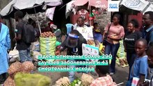 Здравоохранение: глобальные доноры ускоряют разработку трёх вакцин от Эболы