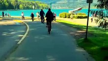 omg orcas on my bike ride