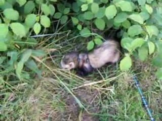 Exploration en profondeur