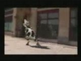 Vache ''I like Mheu Mheu!''