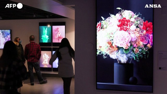 Stati Uniti, aperto un museo dedicato agli NFT a Seattle