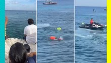 ¡Terror en Cozumel! Cocodrilo irrumpe cerca de una carrera y provoca momentos de pánico