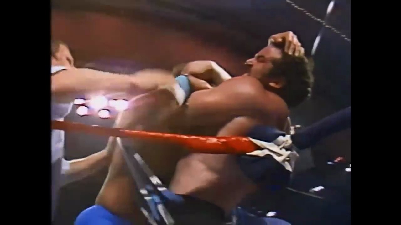 wrestlmania 4 ultimate warrior vs Hercules