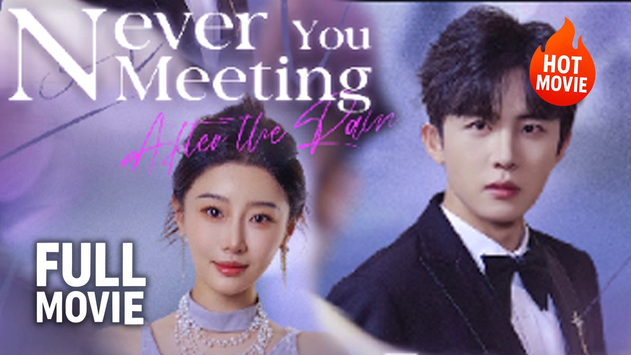 Never Meeting You After The Rain