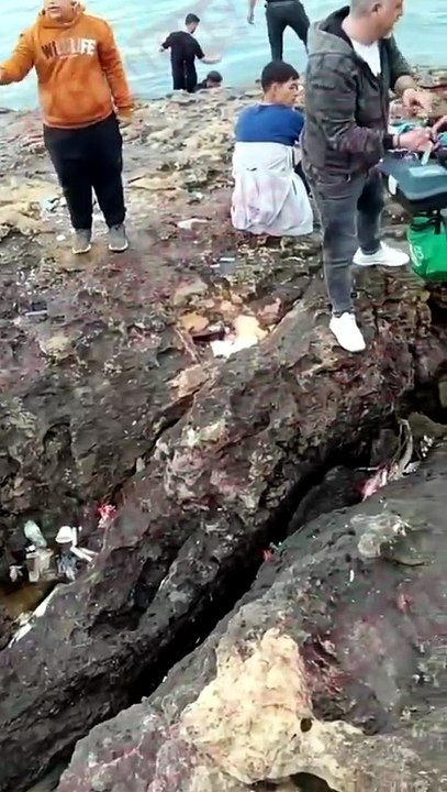 Kandıra Pembe Kayalıklar'da utandıran görüntü: Vatandaşlar isyan etti