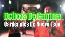 Cardenales De Nuevo León - Belleza De Cantina (LETRA)