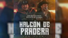 Grupo 3 Mandos - Halcón De Pradera (En Vivo / LETRA)