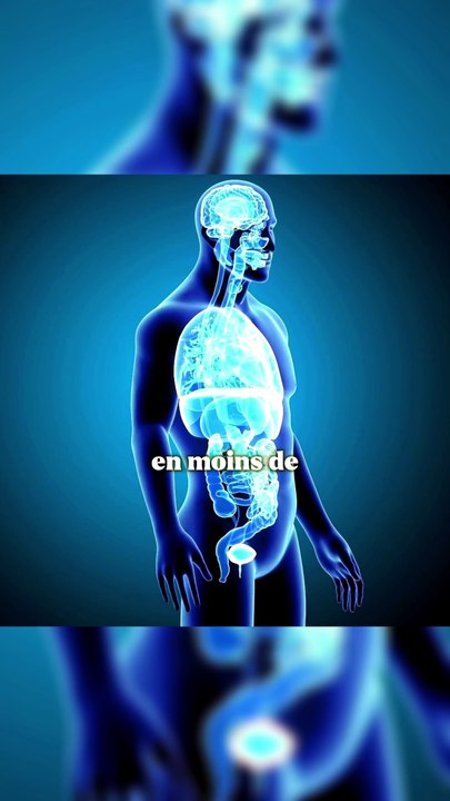 L'arsenic dans ton corps ça fait quoi ? ☠️