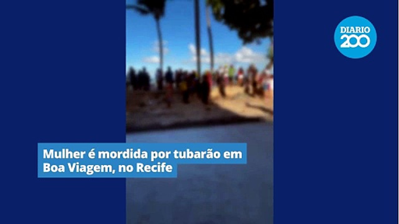 Mulher é mordida por tubarão em Boa Viagem