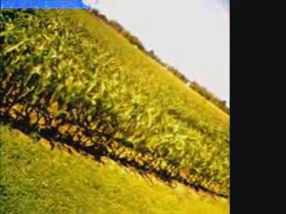 Video probleme flycamonev2