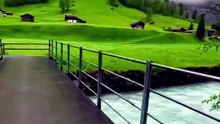nature is wild