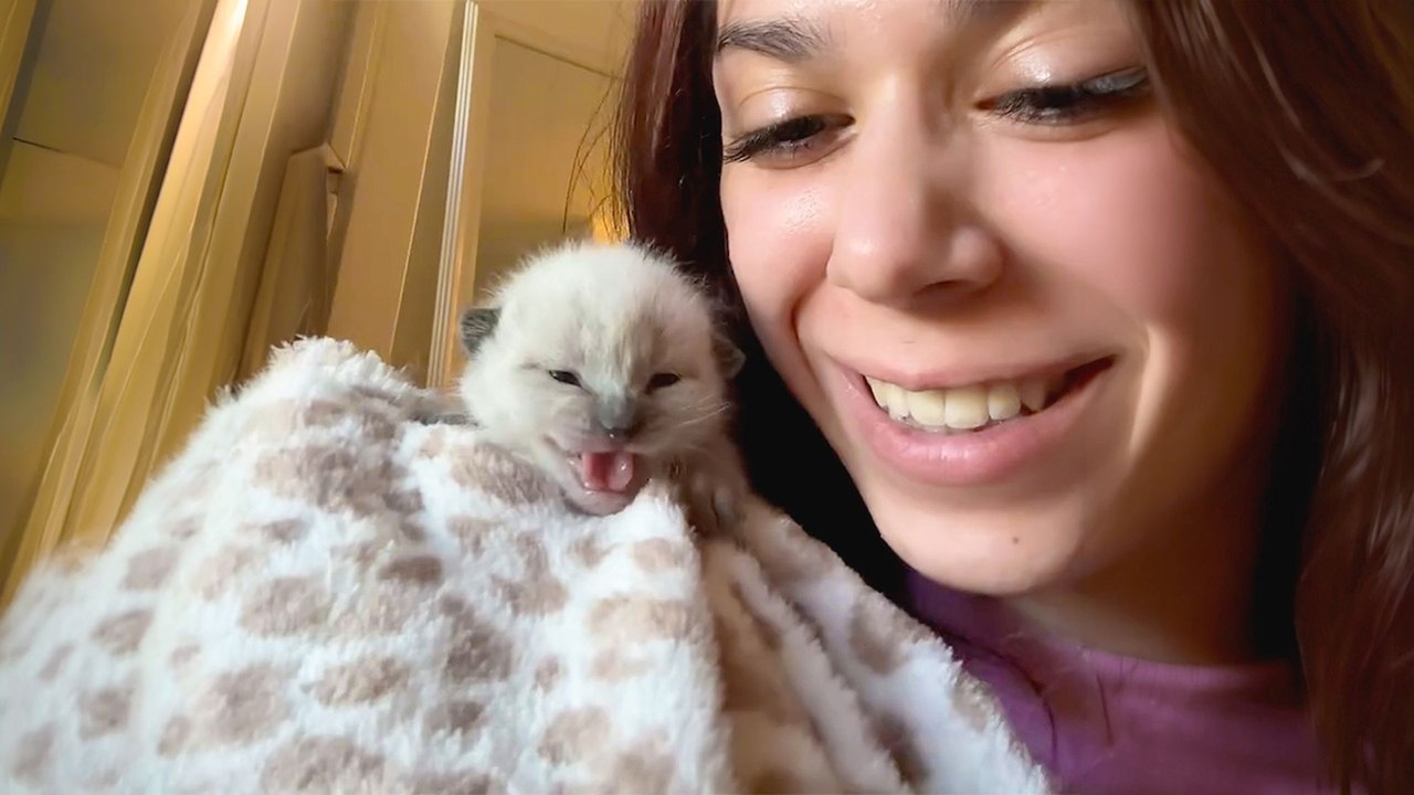 Woman Finds TINY Kitten All Alone And Brings Him Home