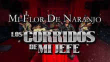 Sahir Montoya - Mi Flor De Naranjo (LETRA)