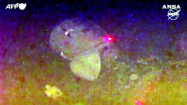 SpaceX, l'equipaggio del primo volo privato verso lo Spazio torna sulla Terra