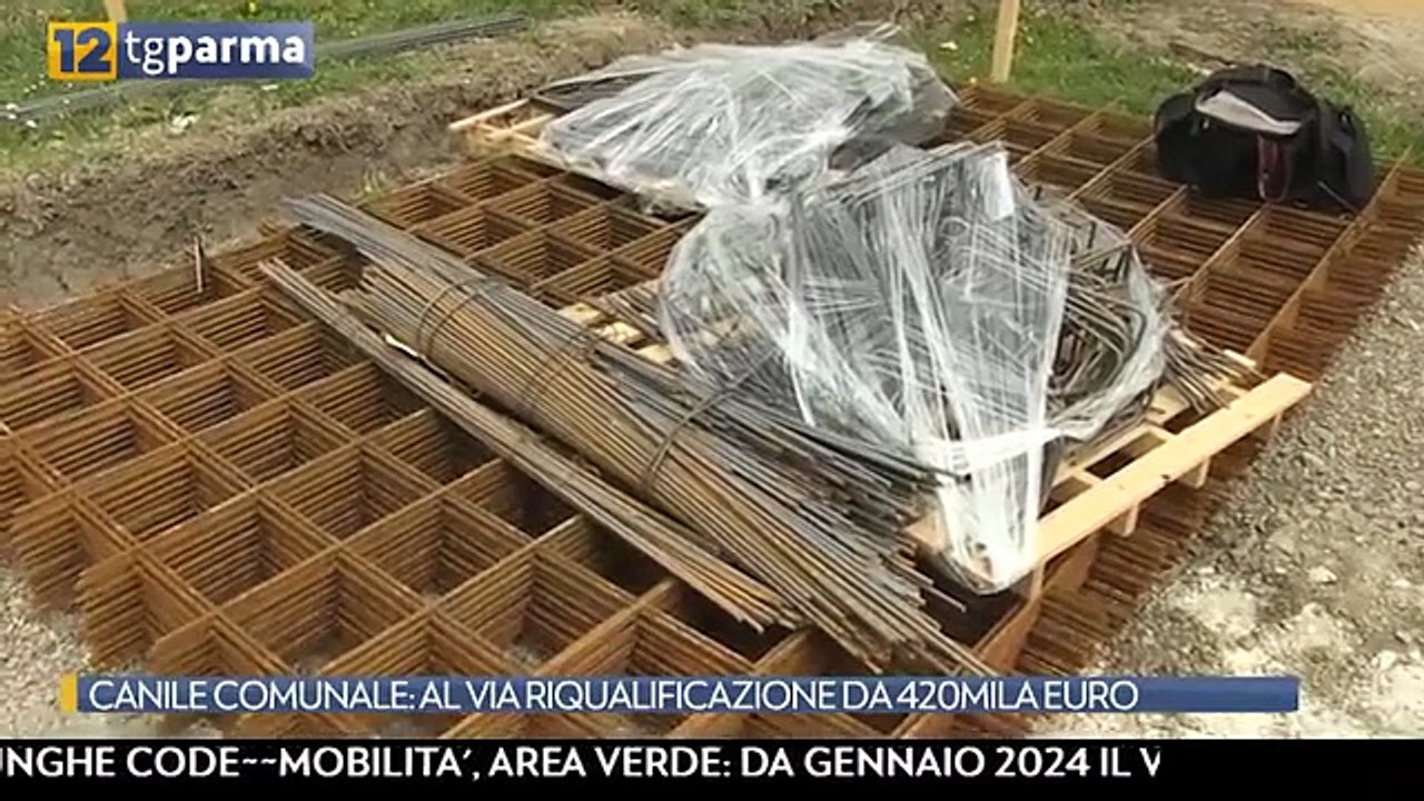 Al via la riqualificazione complessiva degli alloggi per gli animali negli spazi del Polo d'affezione - Video