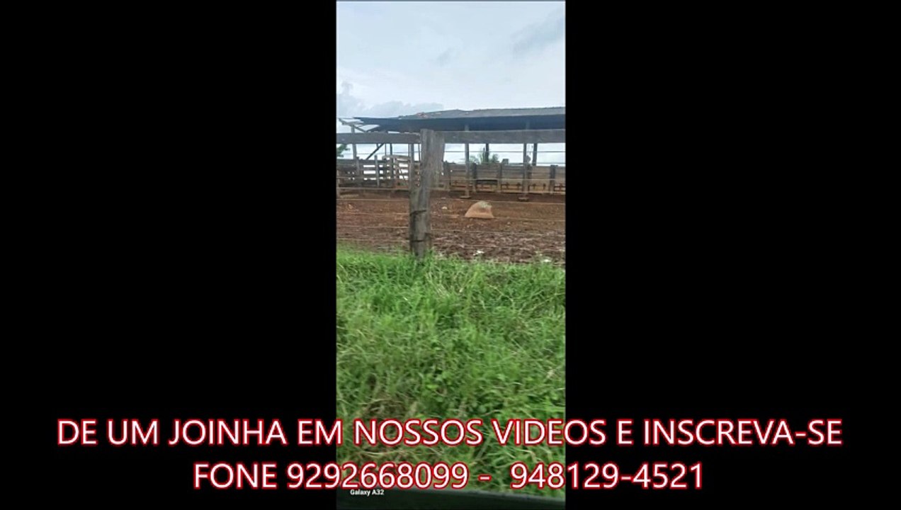 FAZENDA COM 230 ALQUEIRÃO A VENDA CMC