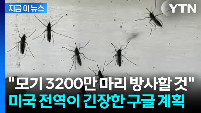 생태계 교란 vs 감염병 차단 ... 미국 전역을 발칵 뒤집은 실험 [지금이뉴스] / YTN