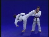 Coups de pied de base Taekwondo