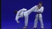 Coups de pied de base Taekwondo