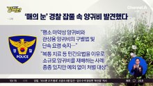 [돌직구 강력반]잡풀 속 ‘양귀비’ 알아챈 ‘매의 눈’ 경찰