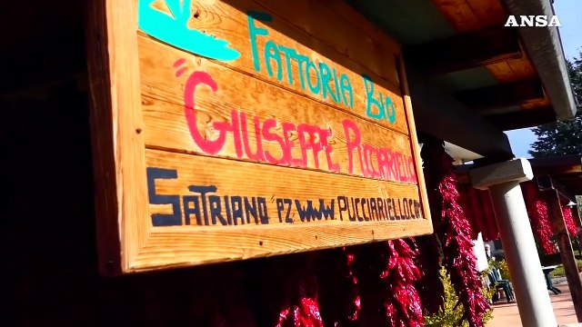 Bene gli agriturismi a Pasqua, piu' pranzi che soggiorni