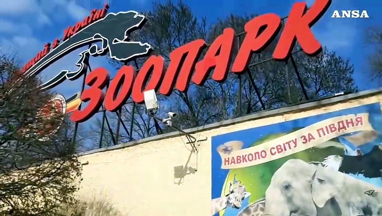 Ucraina, a Mykolaiv bombe anche nello zoo