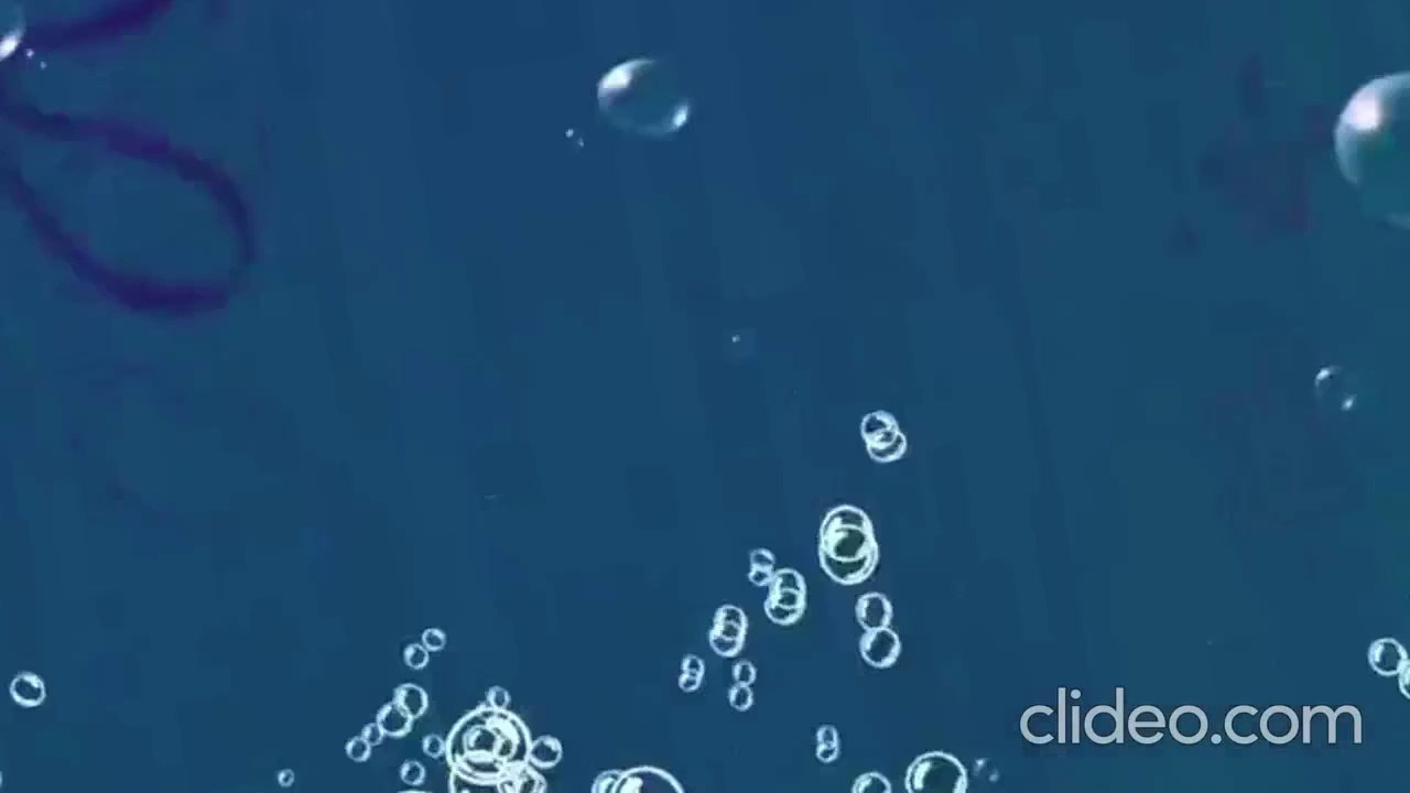 1000299499