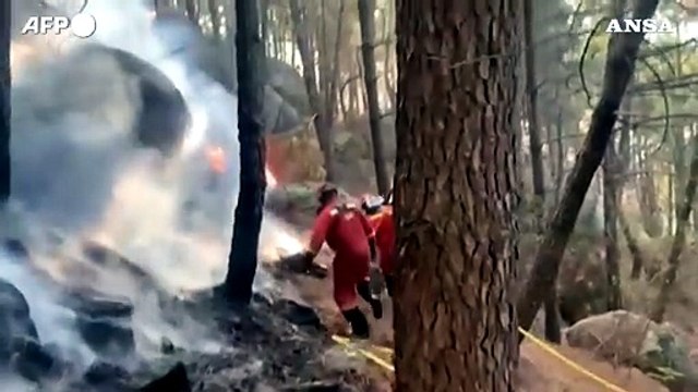 Incendio in Spagna, mille ettari di foresta bruciati a Santa Cruz del Valle