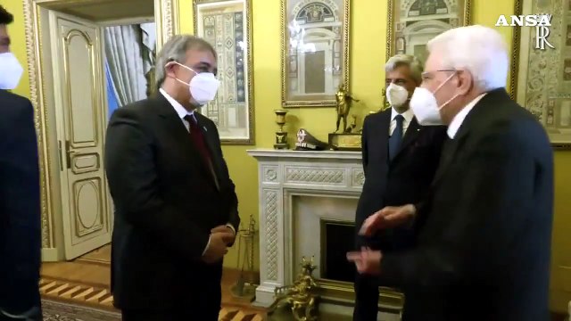 Mattarella incontra una delegazione della Croce Rossa Italiana