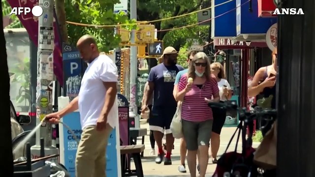 I newyorkesi e i loro animali domestici cercano di stare al fresco