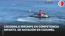 Cocodrilo irrumpe en competencia infantil de natación en Cozumel