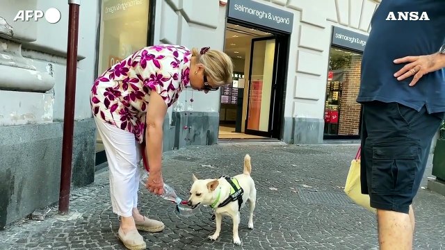 Il caldo assedia l'Italia, oltre 40 gradi e ancora incendi