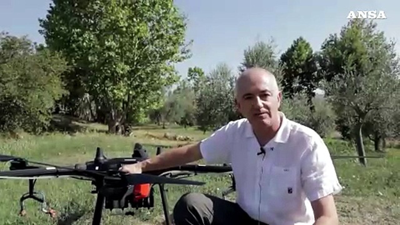 Desenzano, la disinfestazione contro agli insetti si fa con il drone