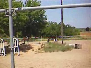 Moi et Levis montage