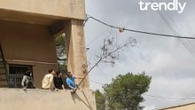 Students Swiftly Come to the Aid of a Kitten Hanging Above Ground