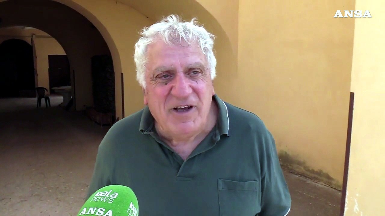 Cinghiali, agricoltore: "Rischiamo di non poter piu' coltivare"