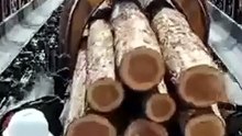 Hasil pemotongan Kayu Modern, Pabrik raksasa