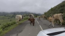 Retour de la meilleure saison