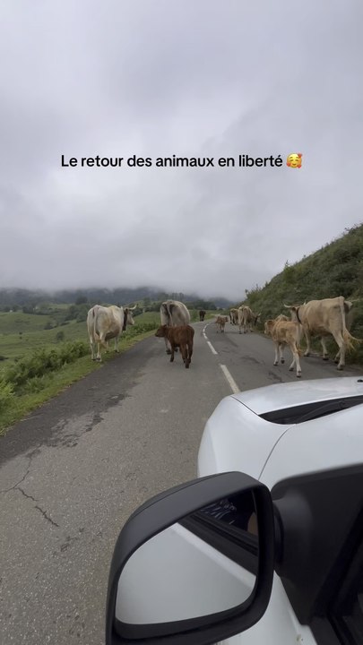 Retour de la meilleure saison