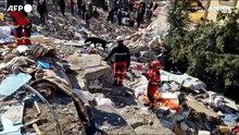 Terremoto in Turchia, militari spagnoli cercano sopravvissuti tra le macerie