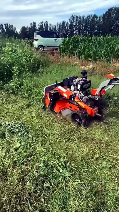 Power tiller