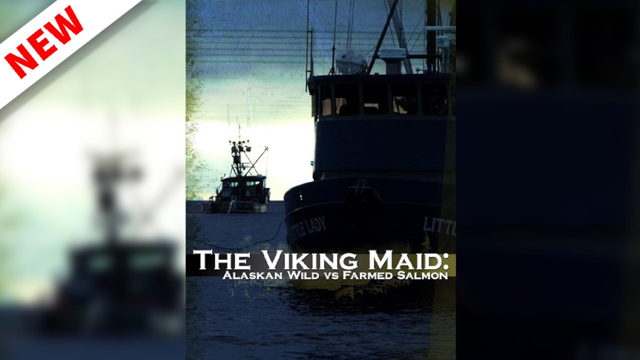 The Viking Maid Video 2008