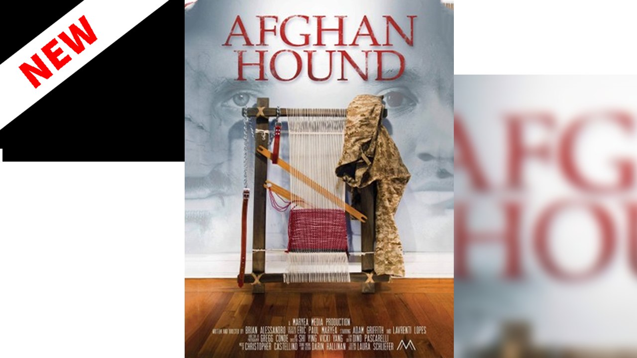 Afghan Hound Hd