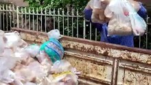 Çöpe atılan tonlarca ekmeği toplayıp hayvanlara ulaştırıyor