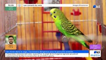 02/06/2026 - ici matin par ici Saint-Étienne Loire en vidéo