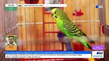 02/06/2026 - ici matin par ici Pays de Savoie en vidéo