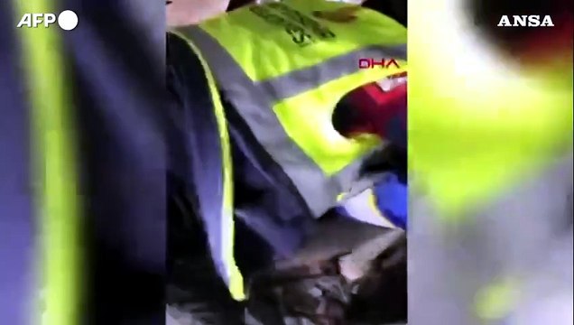 Oltre 20 giorni sotto le macerie, cane salvato in Turchia