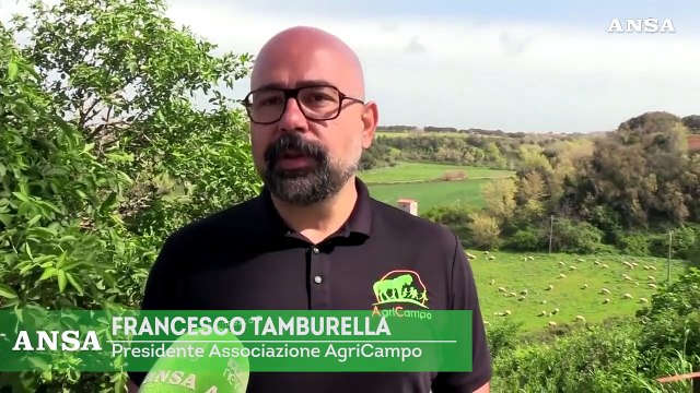 A Roma una fattoria per bambini affetti da autismo, un sostegno per le famiglie