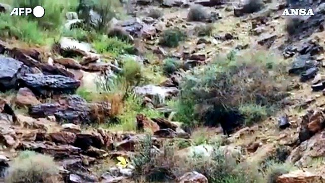 Israele, due dispersi dopo le forti piogge nel sud del Paese