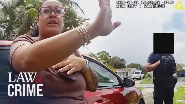 Mujer de Florida abandona gatitos recién nacidos en un parque, según la policía